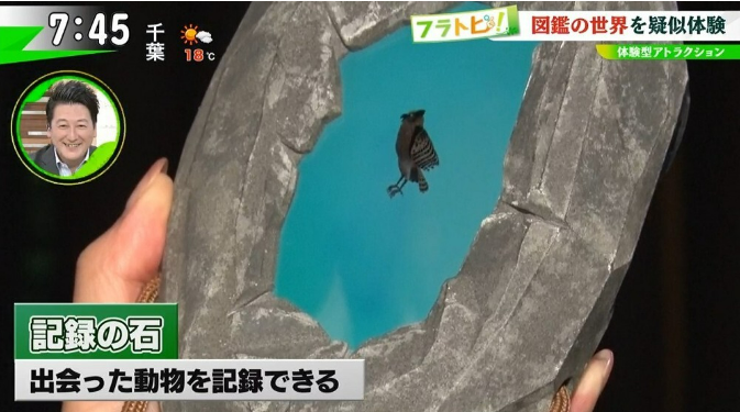 News about Experience-type attractions have evolved to this level!